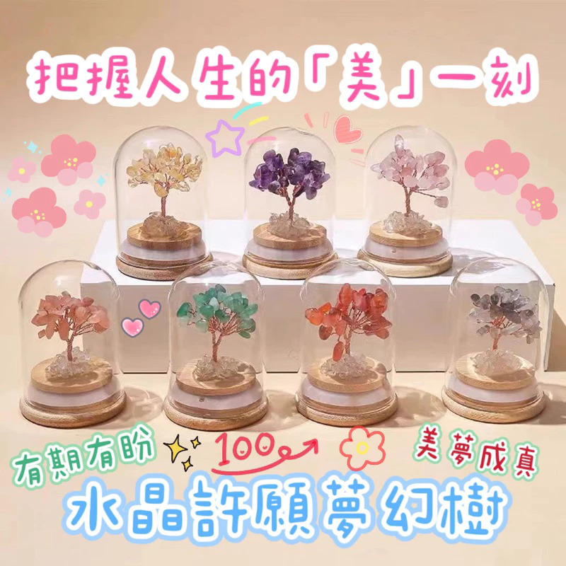 發財樹 水晶樹 水晶