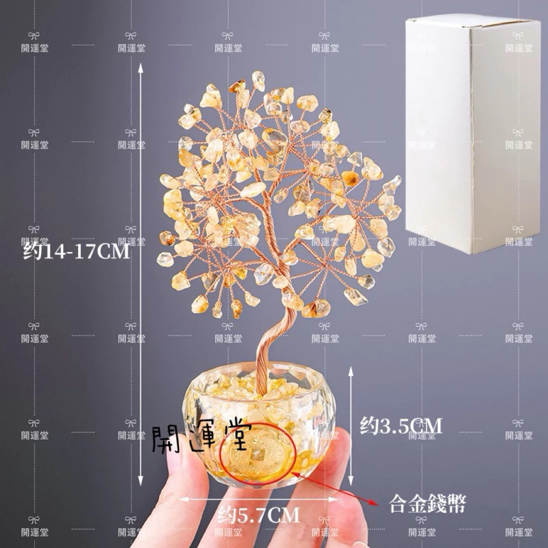 水晶樹 黃水晶樹 發