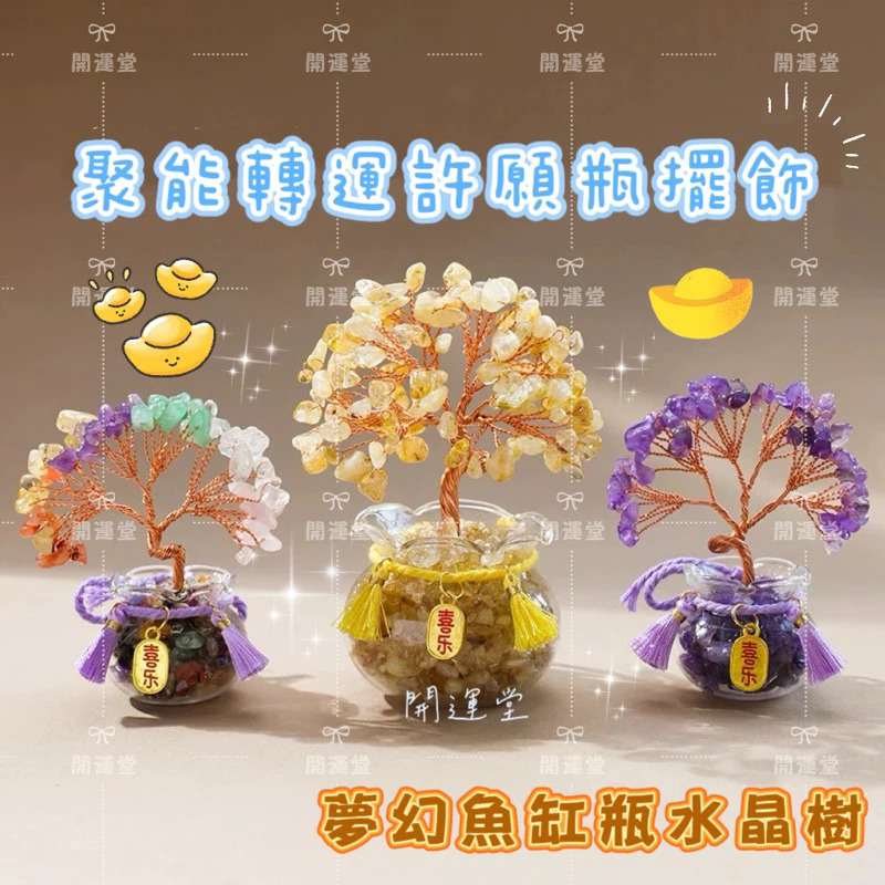 【開運堂】發財樹 水